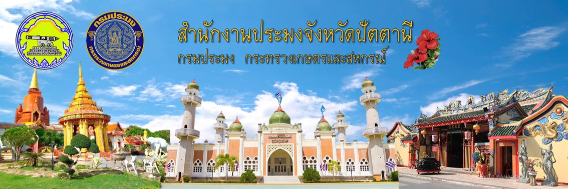 สำนักงานประมงจังหวัดปัตตานี