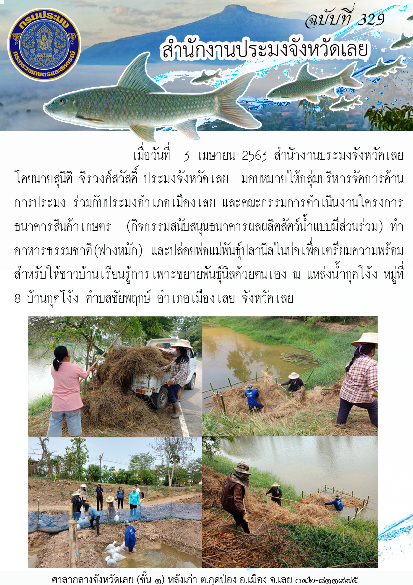 โครงการธนาคารสินค้าเกษตร (กิจกรรมสนับสนุนธนาคารผลผลิตสัตว์น้ำแบบมีส่วนร่วม) ทำอาหารธรรมชาติ (ฟางหมัก)