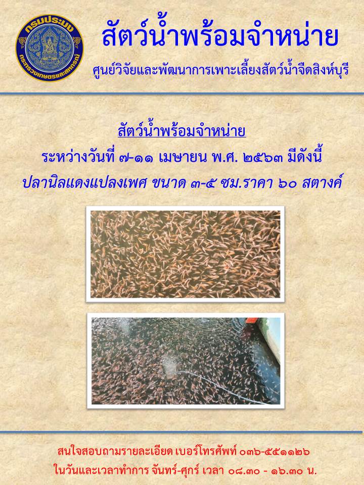 สัตว์น้ำพร้อมจำหน่าย ระหว่างวันที่ 7-11 เมษายน พ.ศ. 2563..คลิก