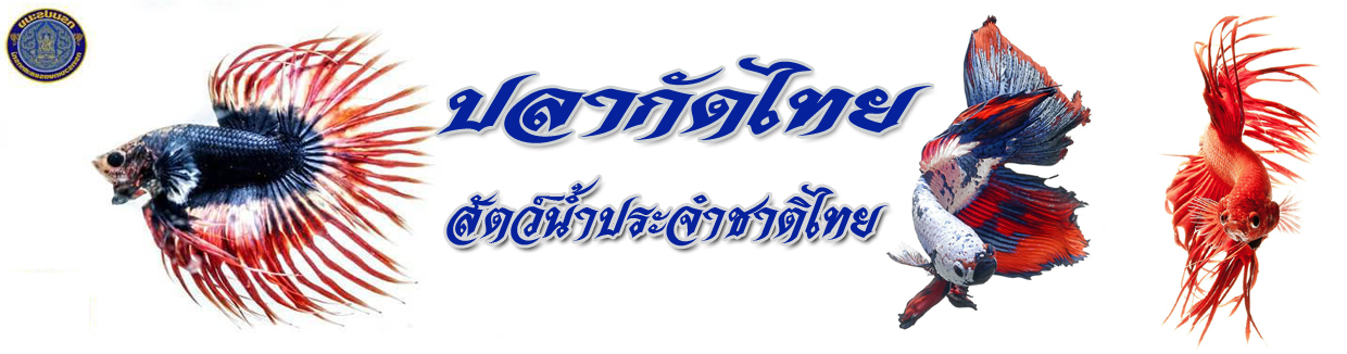 ปลาประจำชาติไทย