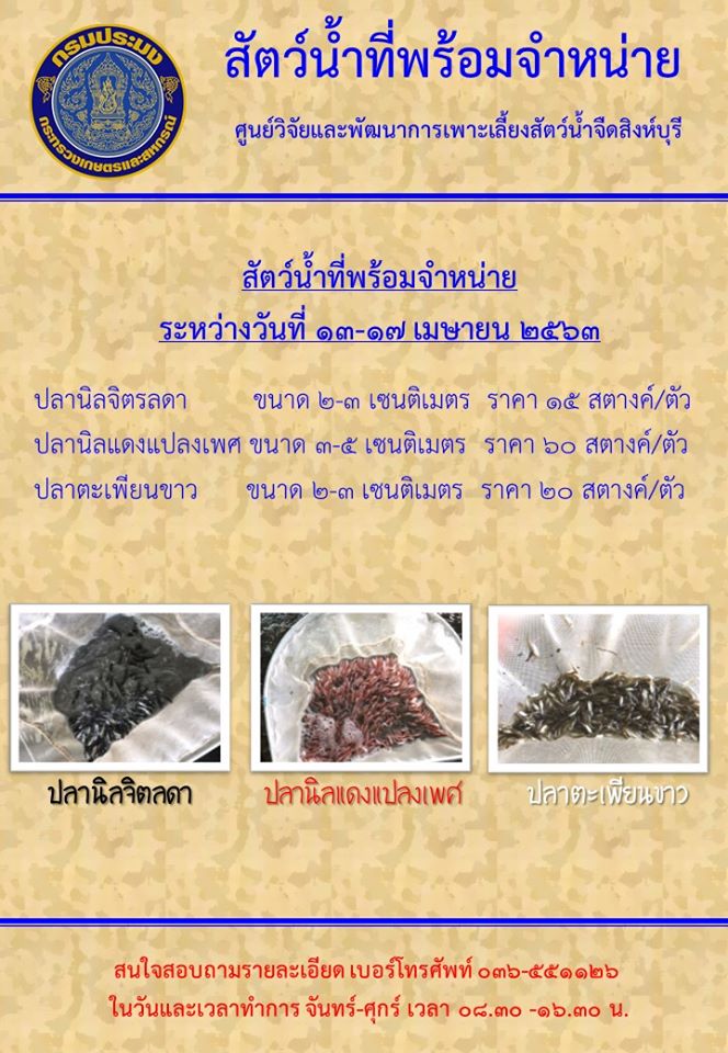 สัตว์น้ำพร้อมจำหน่าย ระหว่างวันที่ 13-17 เมษายน พ.ศ. 2563..คลิก