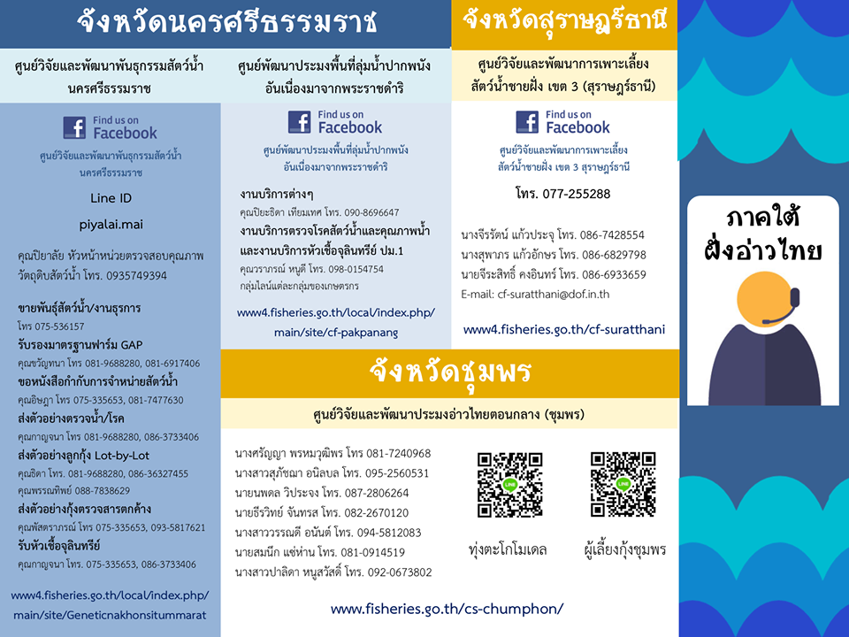ประชาสัมพันธ์ ช่องทางติดต่องานบริการของกรมประมง สำหรับเกษตรกรผู้เพาะเลี้ยงสัตว์น้ำชายฝั่ง ในช่วงการแพร่ระบาดไวรัส COVID-19..คลิก