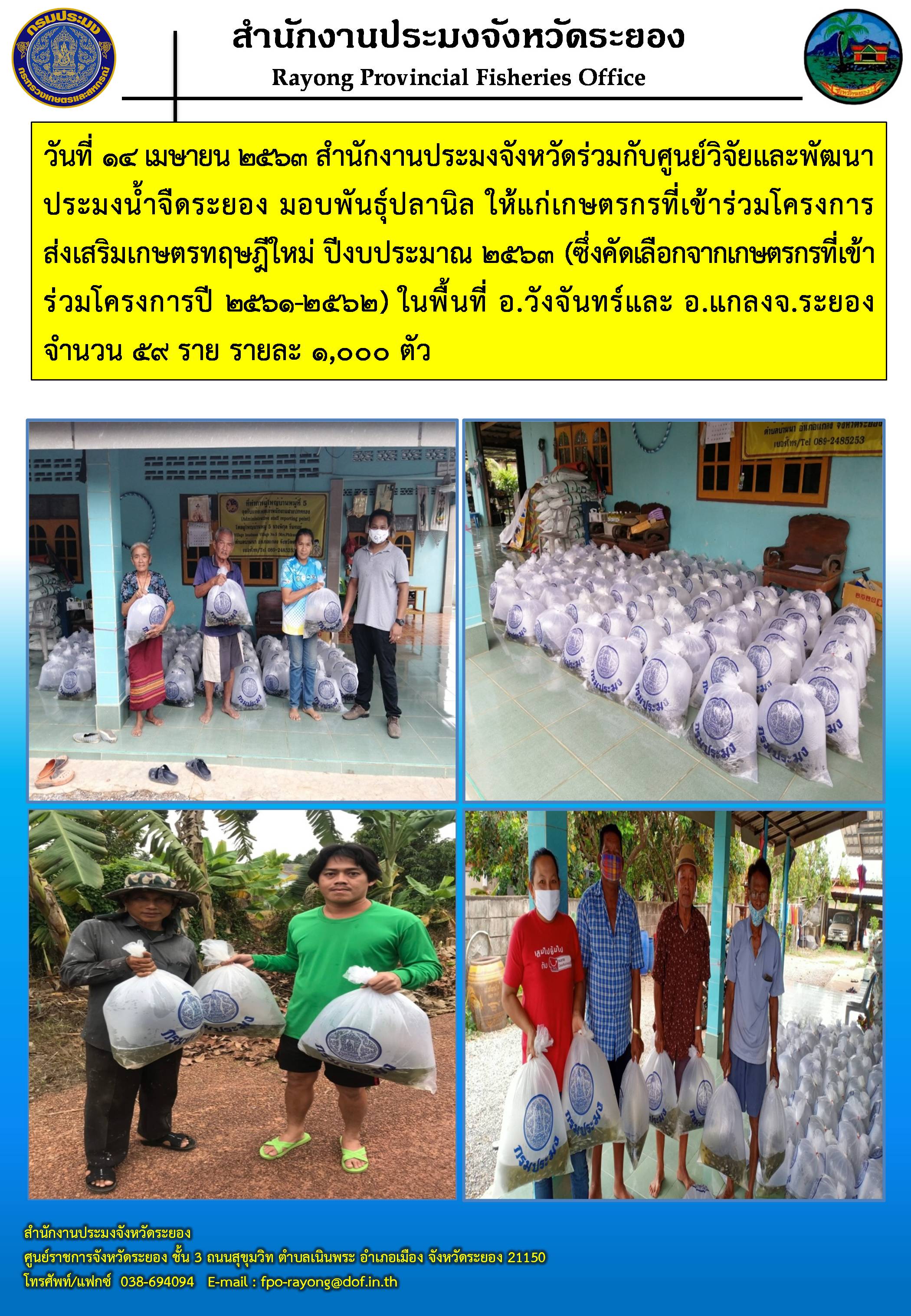 สำนักงานประมงจังหวัด มอบพันธุ์ปลานิล ให้แก่เกษตรกรที่เข้าร่วมโครงการส่งเสริมเกษตรทฤษฎีใหม่ ปีงบประมาณ 2563
