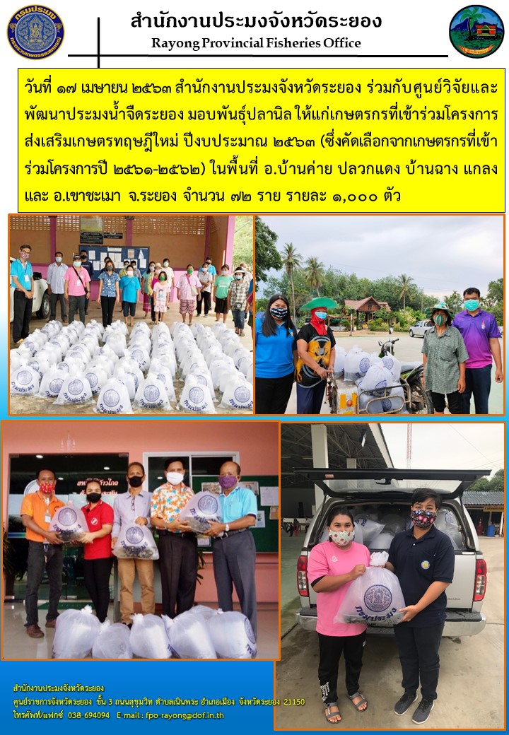 สำนักงานประมงจังหวัดระยองร่วมกิจกรรมปล่อยพันธุ์สัตว์น้ำ มอบพันธุ์ปลานิลให้แก่เกษตรกรที่เข้าร่วมโครงการส่งเสริมเกษตรทฤษฎีใหม่ ปี 2563