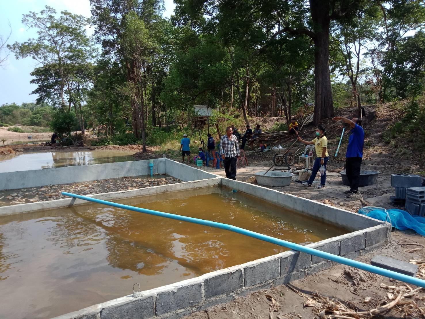 ออกส่งเสริมการเพาะพันธุ์ปลาตะเพียนขาวด้วยชุดเพาะฟักเคลื่อนที่(mobile hatchery) แก่ ศพก.หลัก - เครือข่าย และกลุ่มเกษตรกรที่สนใจ ณ ศพก.หลัก นายธีรวัฒน์ พันธุมาศ ต.ห้วย อ.ปทุมราชวงศา จ.อำนาจเจริญ..คลิก