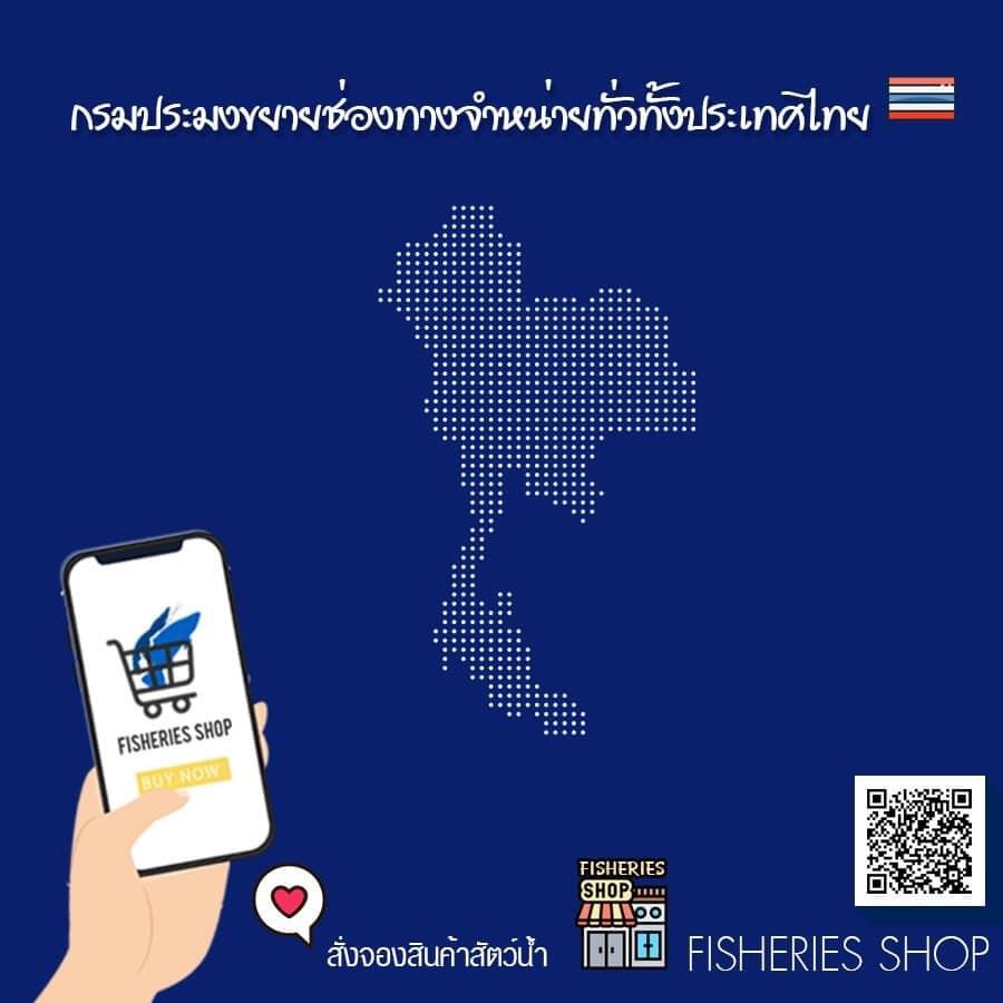 สมัครซื้อ - ขายสินค้าประมงออนไลน์ผ่าน FISHERIES SHOP..คลิก