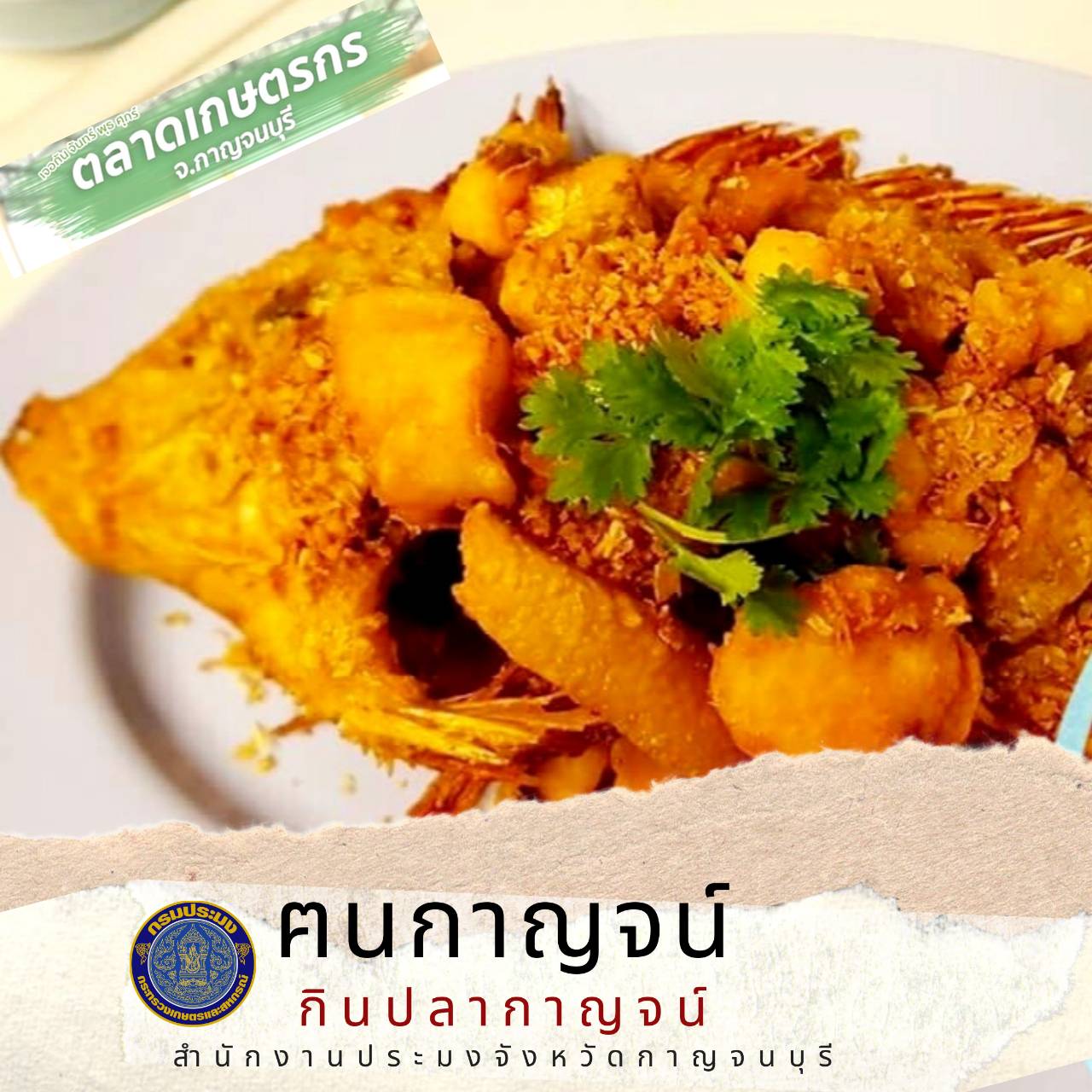 การออกร้านจำหน่ายสินค้าสัตว์น้ำของกลุ่มเกษตรกร ที่ได้รับผลกระทบจากสถานการณ์การระบาดของโรคติดเชื้อไวรัส Covid-19..คลิก