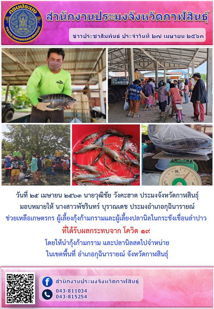 ช่วยเหลือเกษตรกรผู้เลี้ยงปลานิลกระชังและกุ้งก้ามกรามที่ได้รับผลกระทบจากโควิด-19..คลิก