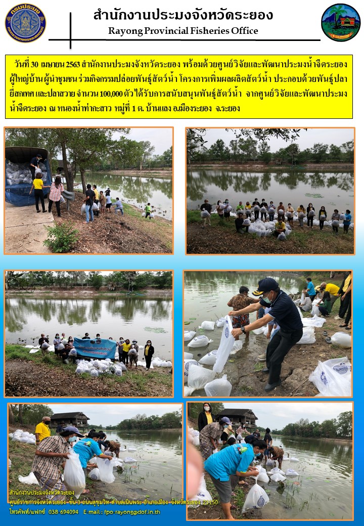 สำนักงานประมงจังหวัดระยองร่วมกิจกรรมปล่อยพันธุ์สัตว์น้ำ โครงการเพิ่มผลผลิตสัตว์น้ำ..คลิก
