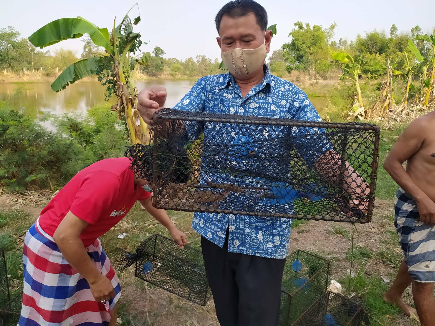 ออกติดตามการเจริญเติบโตกุ้งก้ามกรามในแหล่งน้ำหนองสระ บ้านโพนเมือง ต.ไม้กลอน อ.พนา จ.อำนาจเจริญ..คลิก