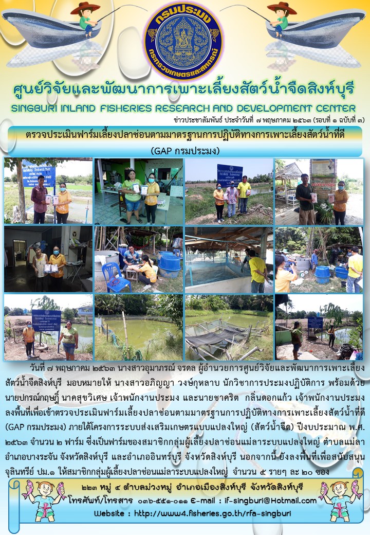 ตรวจประเมินฟาร์มเลี้ยงปลาช่อนตามมาตรฐานการปฏิบัติทางการเพาะเลี้ยงสัตว์น้ำที่ดี  (GAP กรมประมง)..คลิก