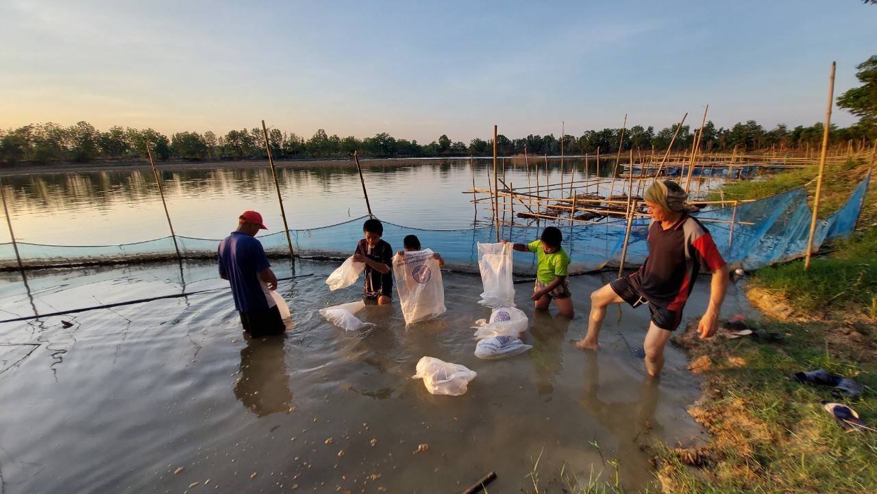 ปล่อยพันธุ์ปลาโครงการธนาคารสินค้าเกษตร (กิจกรรมสนับสนุนธนาคารผลผลิตสัตว์น้ำแบบมีส่วนร่วม) แหล่งน้ำหนองคู..คลิก