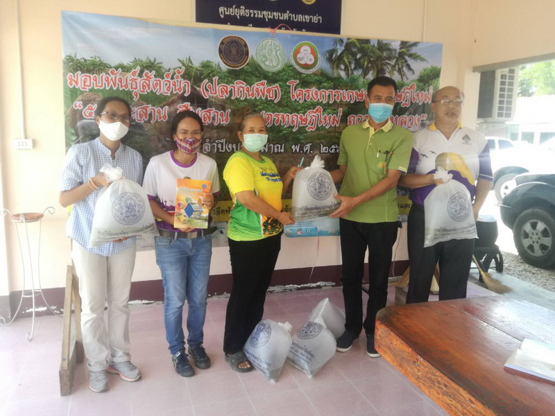สนับสนุนพันธุ์ปลาโครงการเกษตรทฤษฎีใหม่ ปี 63 อำเภอศรีบรรพต จังหวัดพัทลุง..คลิก