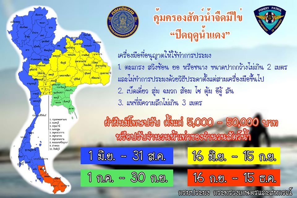 'ฤดูน้ำแดง' ห้ามจับปลาน้ำจืดวางไข่..คลิก