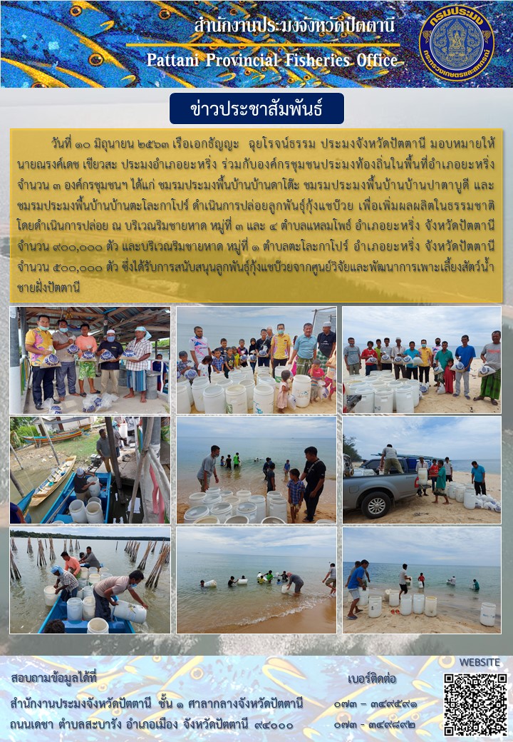 ปล่อยลูกพันธุ์กุ้งแชบ๊วย จำนวน 1,400,000 ตัว เพื่อเพิ่มผลผลิตในธรรมชาติ บริเวณทะเลอำเภอยะหริ่ง จังหวัดปัตตานี..คลิก