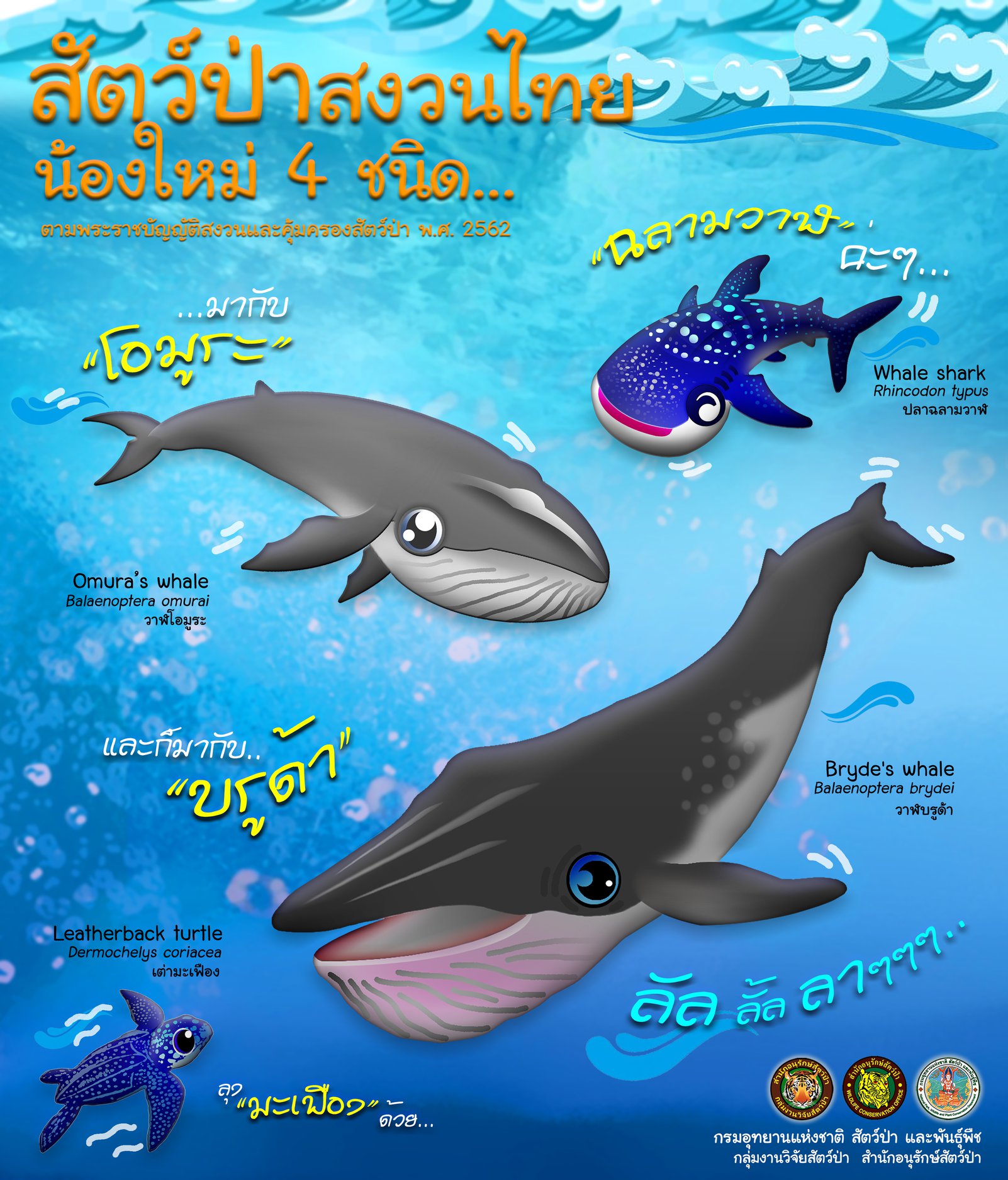 สัตว์ป่าสงวนพระราชบัญญัติฉบับใหม่ได้บรรจุสัตว์ทะเลเป็นสัตว์ป่าสงวนชนิดใหม่อีก 4 ชนิด รวมเป็น 19 ชนิด ในปัจจุบัน..คลิก