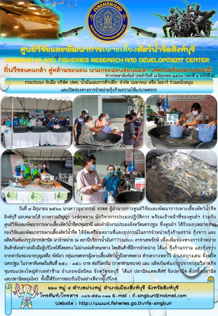 กรมประมง จับมือ บริษัท ปตท. น้ำมันและการค้าปลีก จำกัด (มหาชน) หรือ โออาร์ ร่วมสนับสนุน                  และเปิดช่องทางการจำหน่ายกุ้งก้ามกรามให้แก่เกษตรกร..คลิก