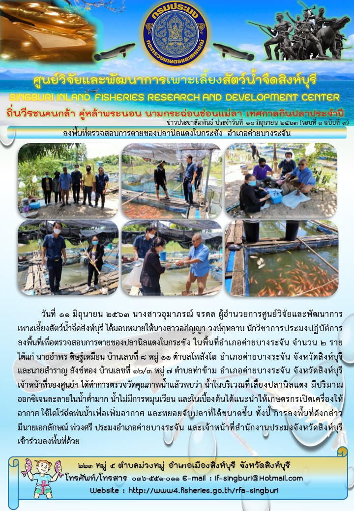 ลงพื้นที่ตรวจสอบการตายของปลานิลแดงในกระชัง อำเภอค่ายบางระจัน..คลิก