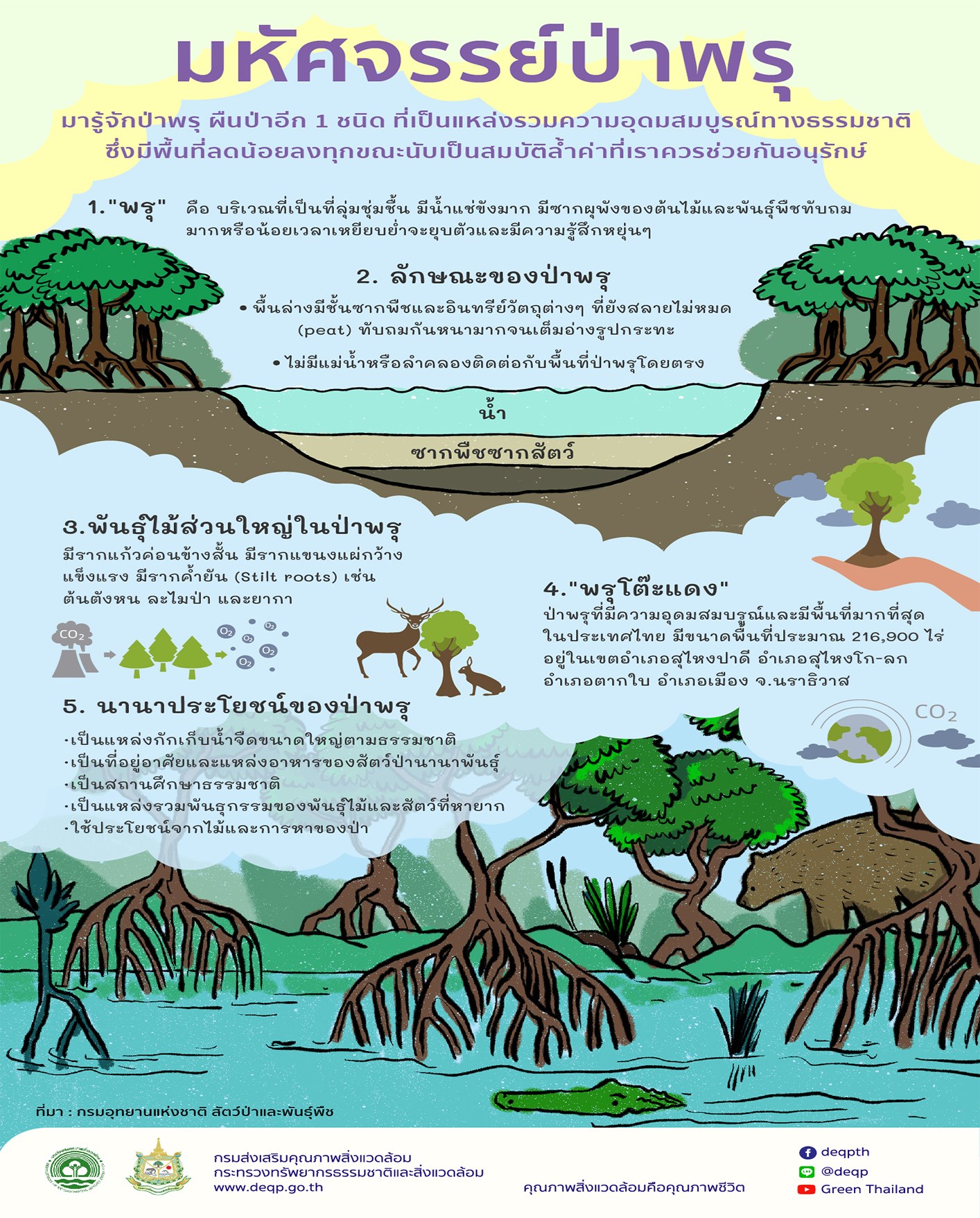 มหัศจรรย์ป่าพรุ..คลิก
