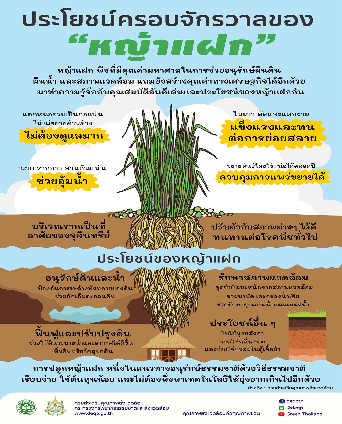 หญ้าแฝก ประโยชน์ครอบจักรวาล..คลิก