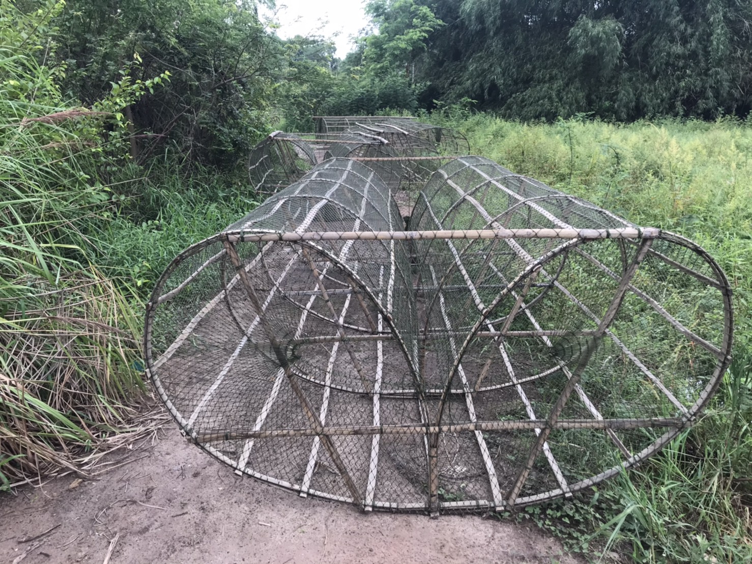 ลงพื้นที่แจกเอกสารประชาสัมพันธ์ ฤดูสัตว์น้ำจืดมีไข่ วางไข่ (ฤดูน้ำแดง) พ.ศ.2563   ..คลิก