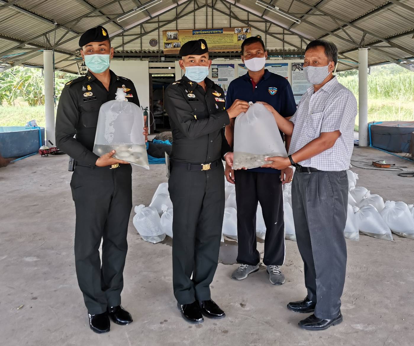 ร่วมบรรจุพันธุ์ปลาตะเพียน (ขนาด 3-5 ซ.ม.) จำนวน 10,000 ตัว ปลานิล (ขนาด 5-7 ซ.ม.) จำนวน 300 ตัว เพื่อส่งมอบให้โครงการทหารพันธุ์ดี..คลิก