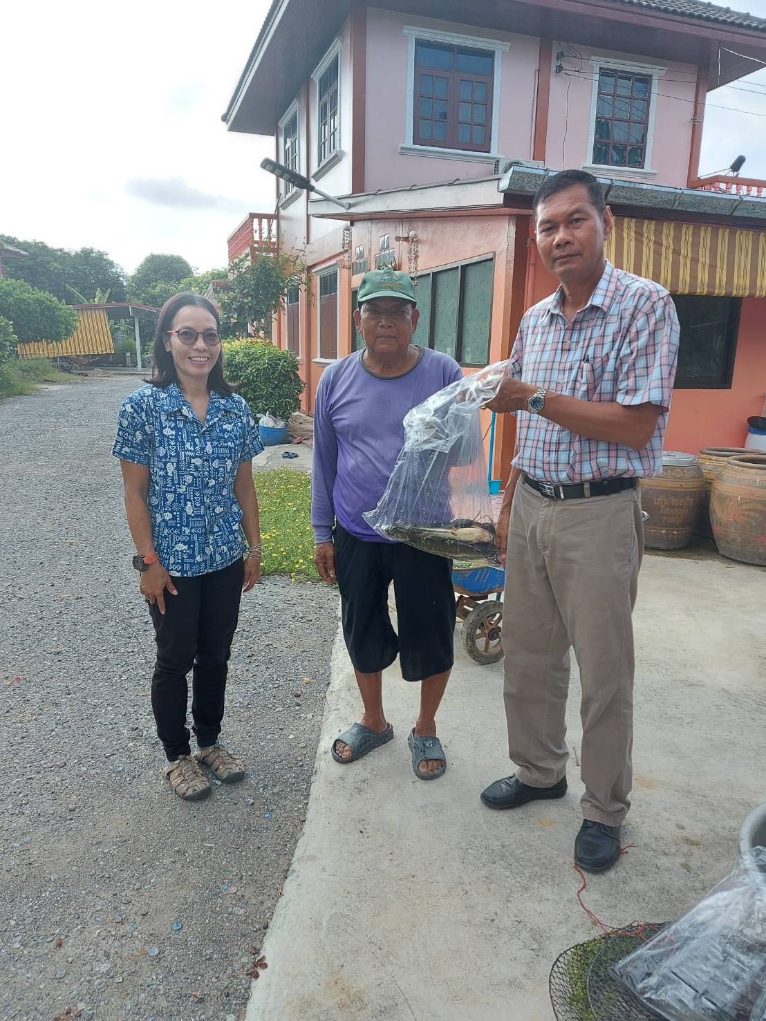 รับมอบพ่อแม่พันธุ์ปลาดุกอุย จากเกษตรกรที่เข้าร่วมการสนับสนุนโครงการของสำนักงานประมงจังหวัดนครนายก..คลิก