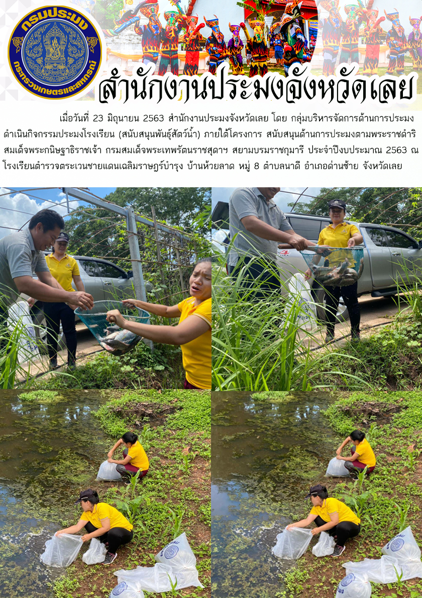 ดำเนินกิจกรรมประมงโรงเรียน (สนับสนุนพันธุ์สัตว์น้ำ)