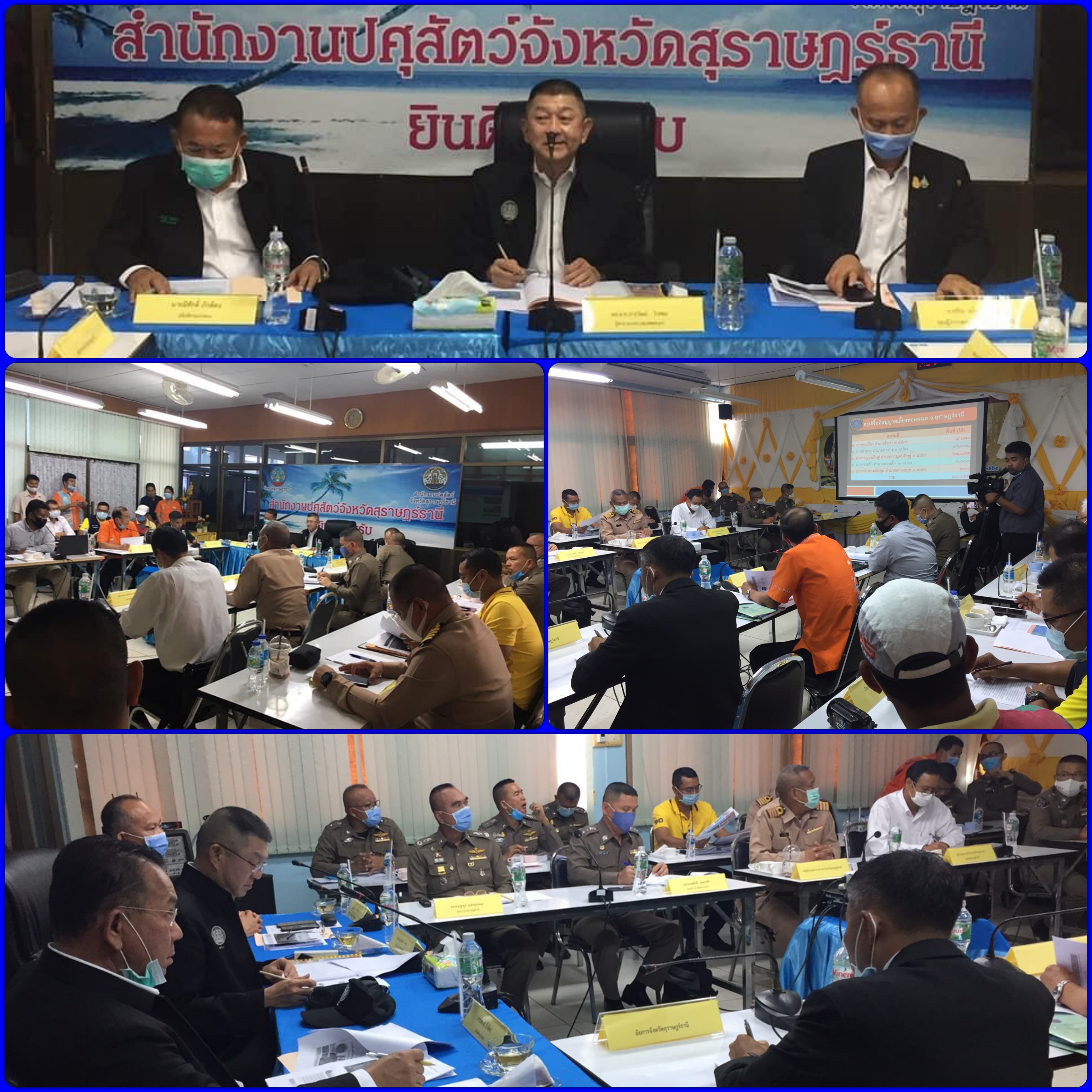 วันพฤหัสบดี ที่ 25 มิถุนายน 2563 เวลา 11.30 น. พลตำรวจโท จารุวัฒน์ ไวศยะ (ผู้ช่วย ผบ.ตร.) ประธานคณะกรรมการเฉพาะกิจตรวจสอบและติดตามการบังคับใช้กฎหมายฯ เป็นประธานการประชุมหารือประเด็นปัญหาการเพาะเลี้ยงสัตว์น้ำในที่จับสัตว์น้ำซึ่งเป็นสาธารณสมบัติของแผ่นดินในท้องที่จังหวัดสุราษฎร์ธานี..คลิก