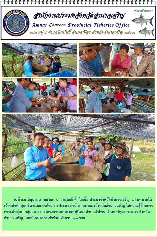 กลุ่มบริหารจัดการด้านการประมง สำนักงานประมงจังหวัดอำนาจเจริญ ให้ความรู้ด้านการเพาะพันธุ์กบ กลุ่มเกษตรกรโครงการเกษตรทฤษฎีใหม่ ตำบลคำโพน อำเภอปทุมราชวงศา จังหวัดอำนาจเจริญ..คลิก