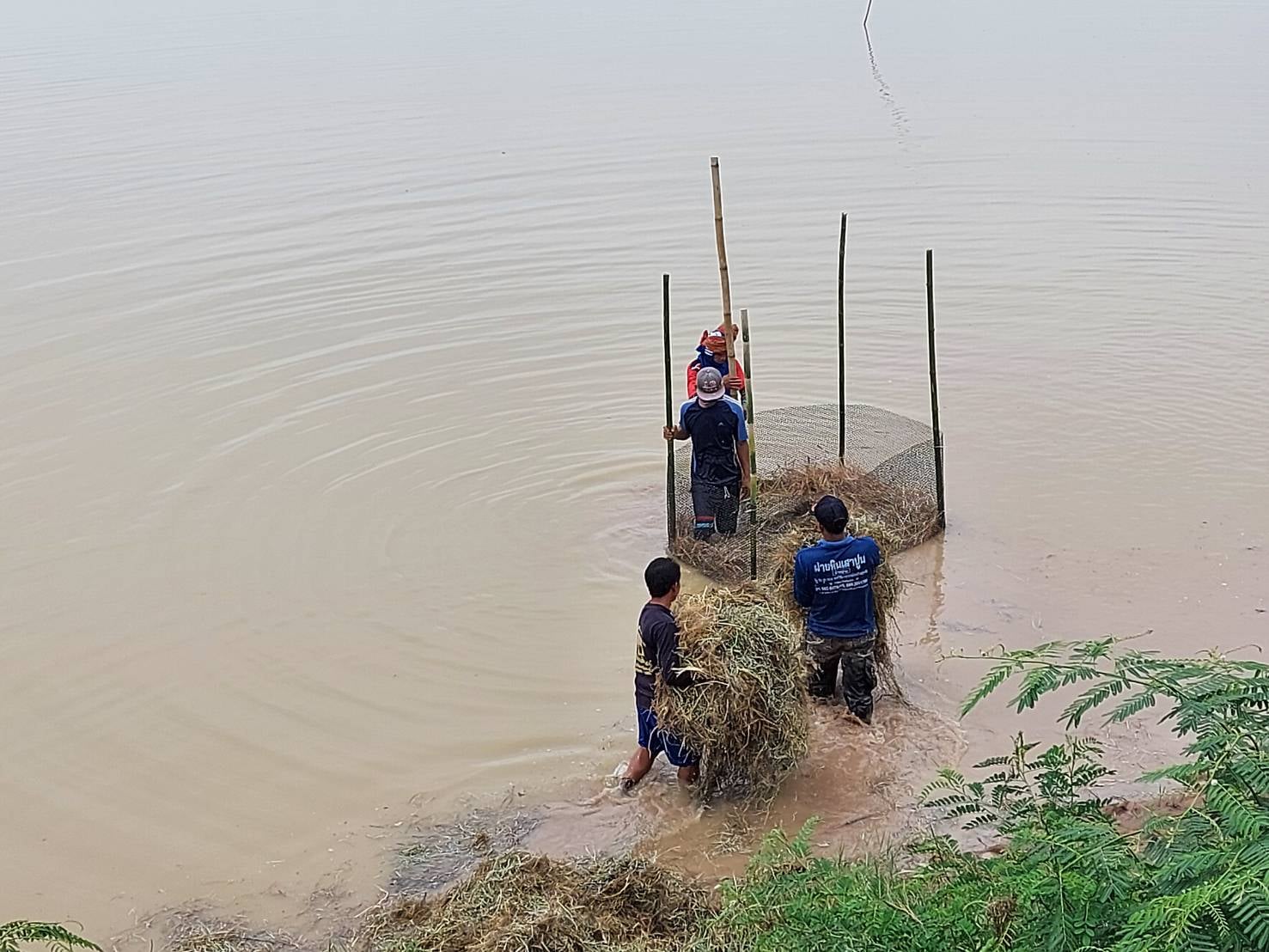 วันที่ 26 มิถุนายน 2563 นายวิทยา ประเสริฐสังข์ ประมงอำเภอโนนสัง..คลิก