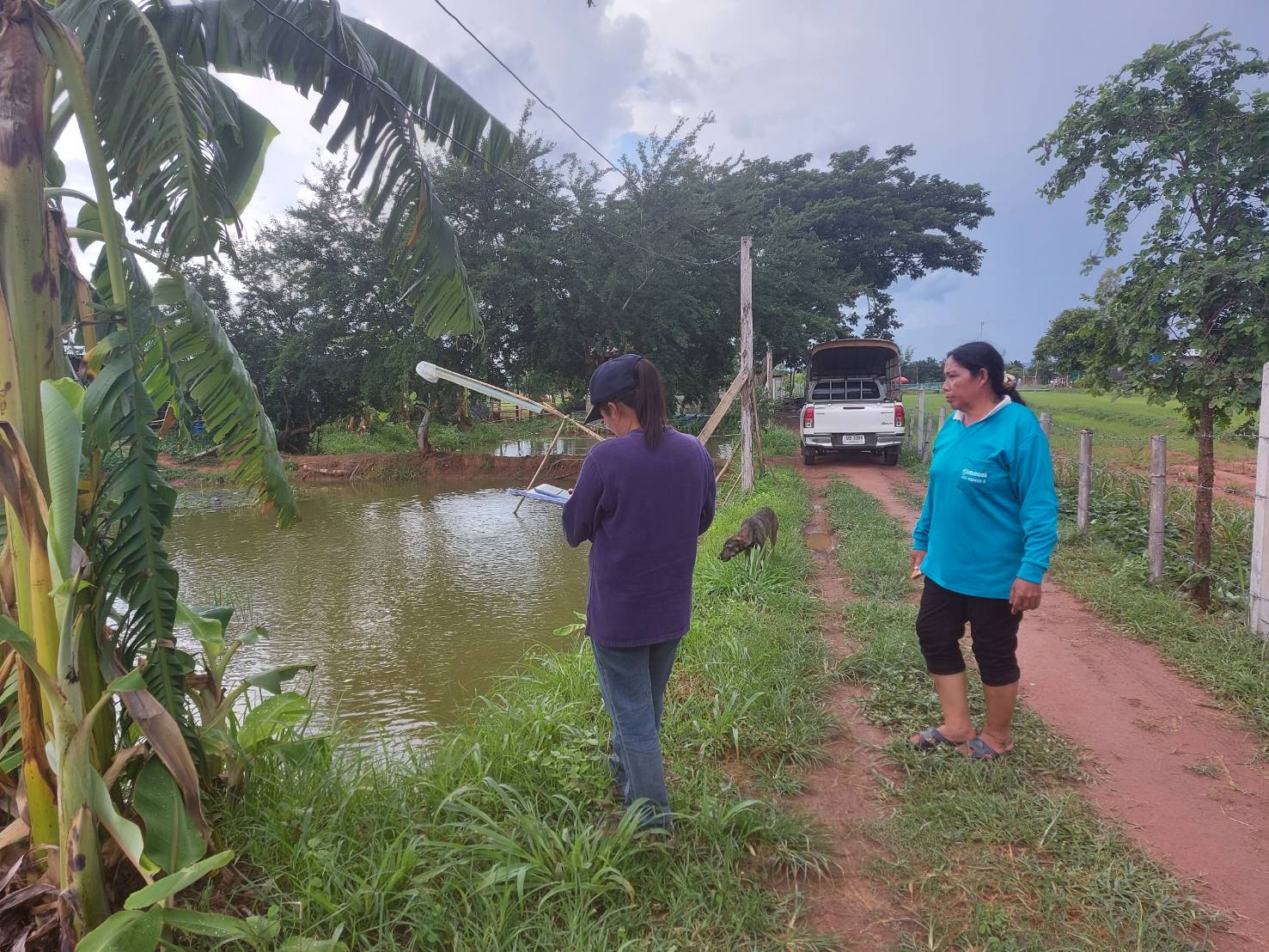 วันที่ 1 กรกฎาคม 2563 นางสาวทัศนีย์ สุนนท์ชัย หัวหน้ากลุ่มพัฒนาและส่งเสริมอาชีพการประมง..คลิก