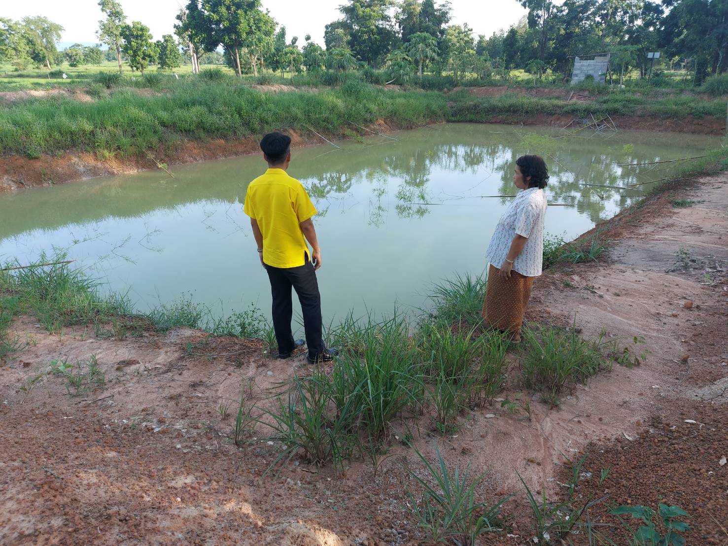 วันที่ 8 กรกฎาคม 2563 นายวิทยา ประเสริฐสังข์ ประมงอำเภอโนนสัง..คลิก