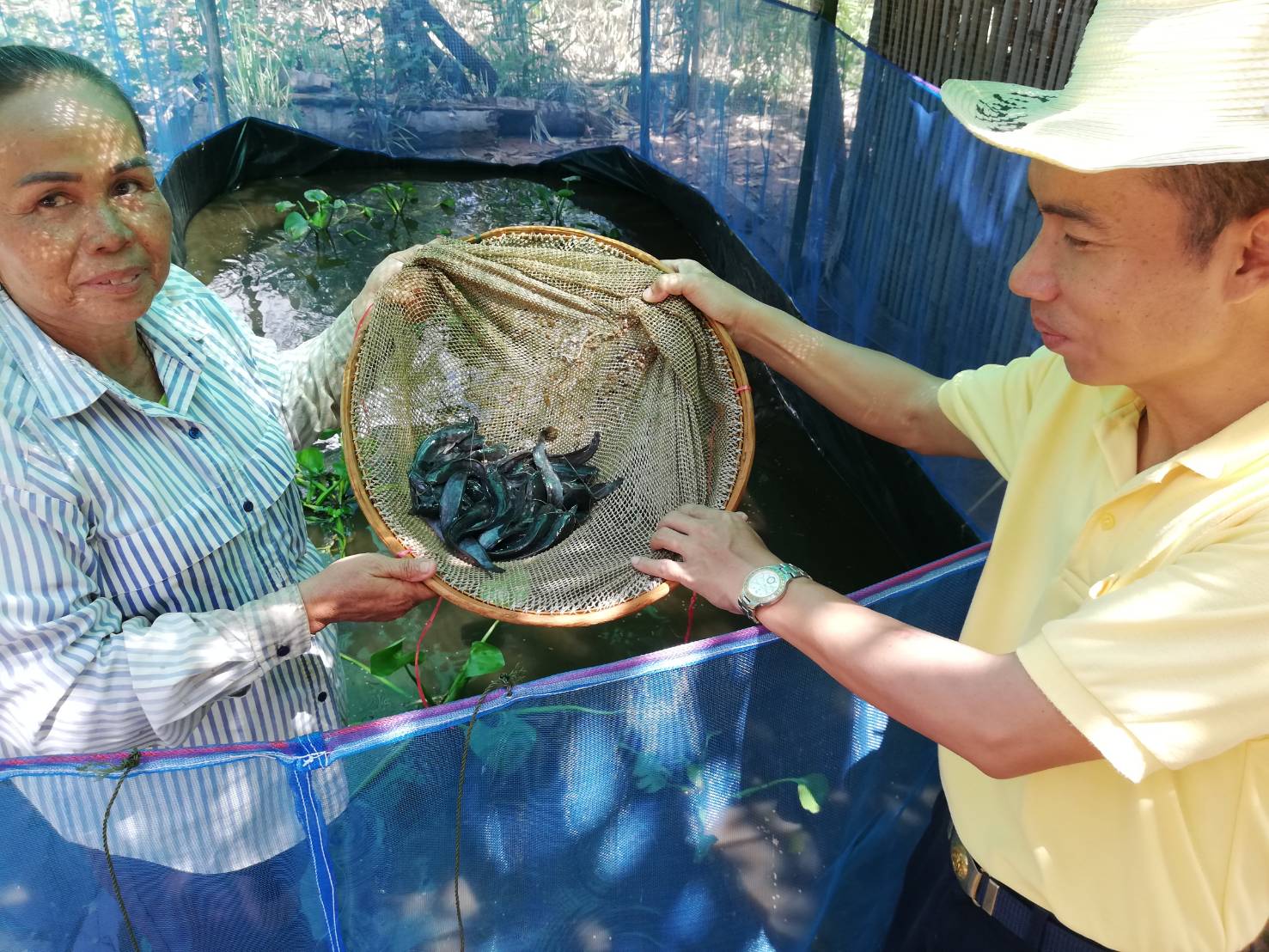 วันที่ 15 กรกฎาคม 2563 นายวิทยา ประเสริฐสังข์ ประมงอำเภอโนนสัง..คลิก