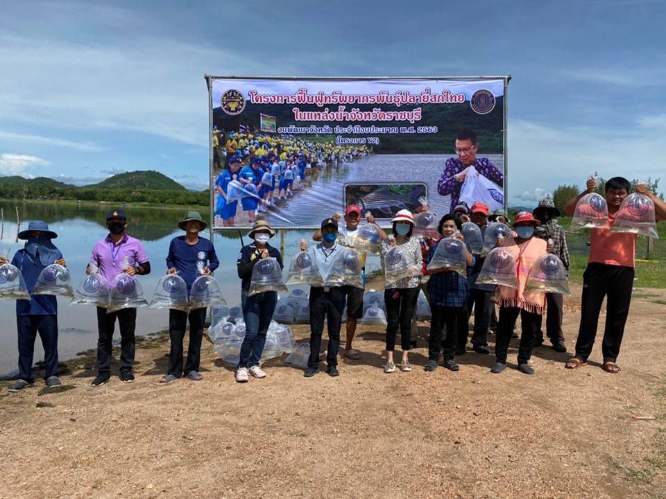 ปล่อยพันธุ์สัตว์น้ำ ตามโครงการฟื้นฟูพันธุ์ปลายี่สกไทยในแหล่งน้ำจังหวัดราชบุรี งบพัฒนาจังหวัด ประจำปีงบประมาณ 2563..คลิก