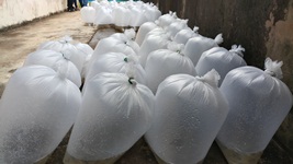กิจกรรม ส่งเสริมเกษตรทฤษฎีใหม่ด้านการประมง..คลิก