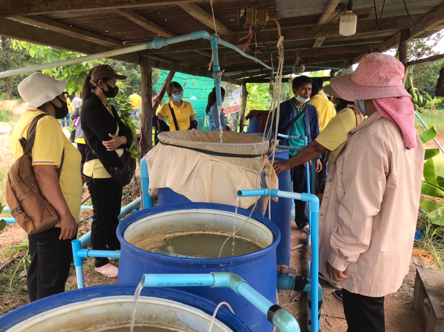 วันที่ 23-24 กรกฎาคม 2563  จัดฝึกอบรมโครงการระบบส่งเสริมเกษตรแปลงใหญ่ (สัตว์น้ำจืด) ประจำปีงบประมาณ 2563 รุ่นที่ 1..คลิก