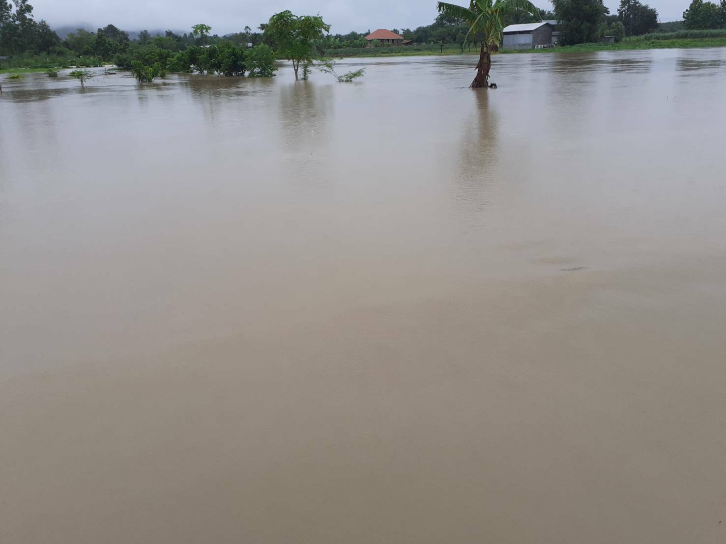 วันที่ 2 สิหาคม 2563 นายชัยพร มังคะละแสน ประมงอำเภอนากลาง ลงพื้นที่สำรวจความเสียหายน้ำท่วม..คลิก