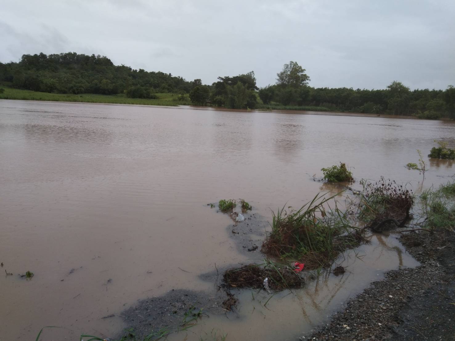 วันที่ 2 สิงหาคม 25563 นายสาโรจน์ สนิทไทย ประมงอำเภอสุวรรณคูหา ลงพื้นที่สำรวจความเสียหายน้ำท่วม พื้นที่อำเภอสุวรรณคูหา..คลิก