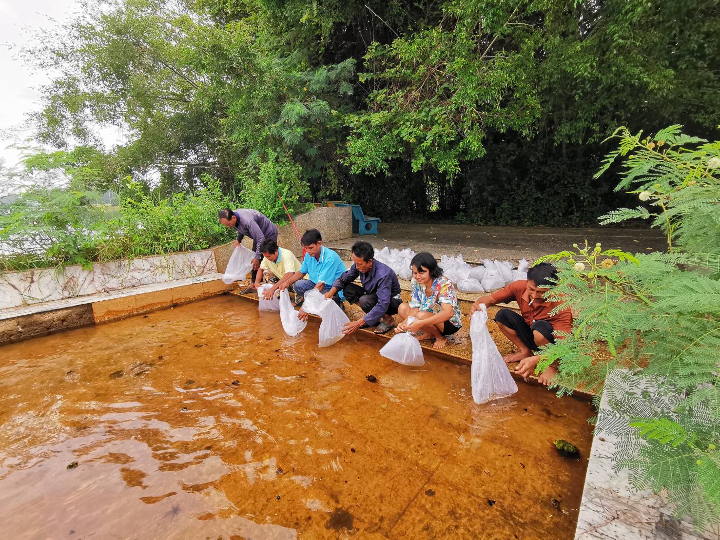 สำนักงานประมงอำเภอเชียรใหญ่ร่วมกับผู้ใหญ่บ้านและราษฎร ร่วมปล่อยพันธุ์สัตว์น้ำ ในพื้นที่ อำเภอเชียรใหญ่จังหวัดนครศรีธรรมราช..คลิก