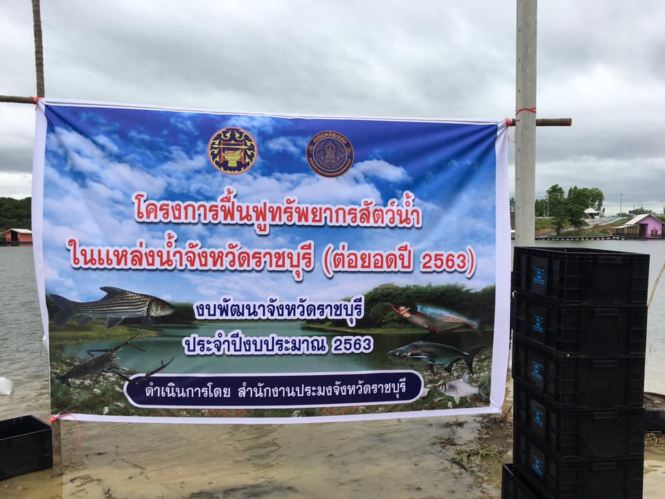 จัดกิจกรรมปล่อยพันธุ์สัตว์น้ำ ตามโครงการฟื้นฟูทรัพยากรสัตว์น้ำในแหล่งน้ำจังหวัดราชบุรี (ต่อยอด 2563) งบพัฒนาจังหวัดราชบุรี ปี 2563..คลิก