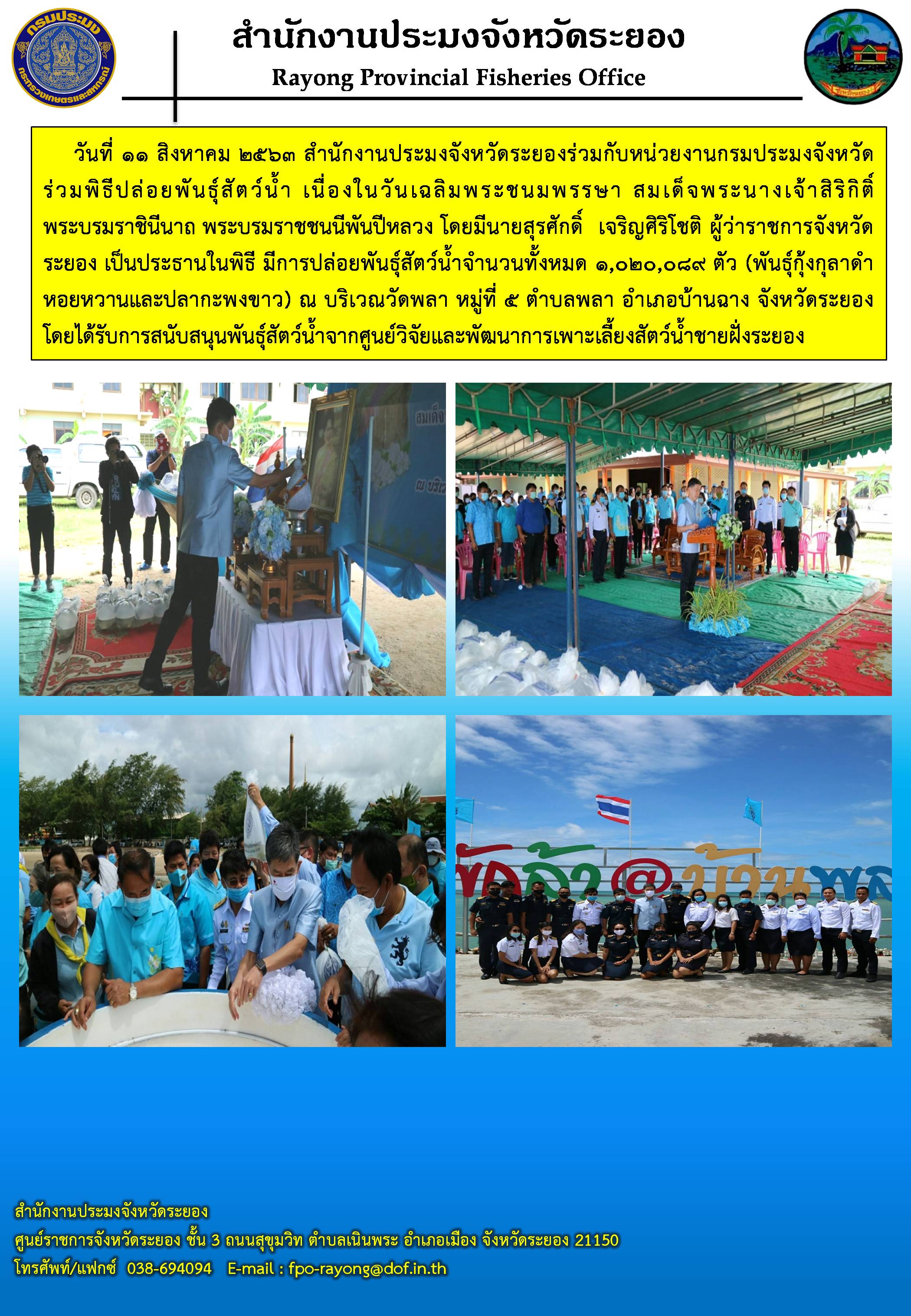 สำนักงานประมงจังหวัดระยองร่วมพิธีปล่อยพันธุ์สัตว์น้ำ เนื่องในวันเฉลิมพระชนมพรรษา สมเด็จพระนางเจ้าสิริกิติ์ พระบรมราชินีนาถ พระบรมราชชนนีพันปีหลวง..คลิก