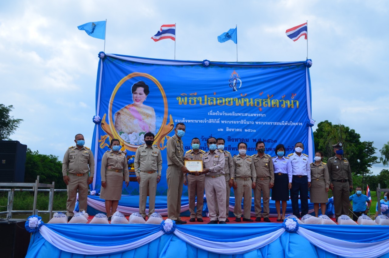 พิธีปล่อยพันธุ์สัตว์น้ำเฉลิมพระเกียรติ เนื่องในวันเฉลิมพระชนมพรรษา สมเด็จพระนางเจ้าสิริกิติ์ พระบรมราชินีนาถ พระบรมราชชนนีพันปีหลวง..คลิก