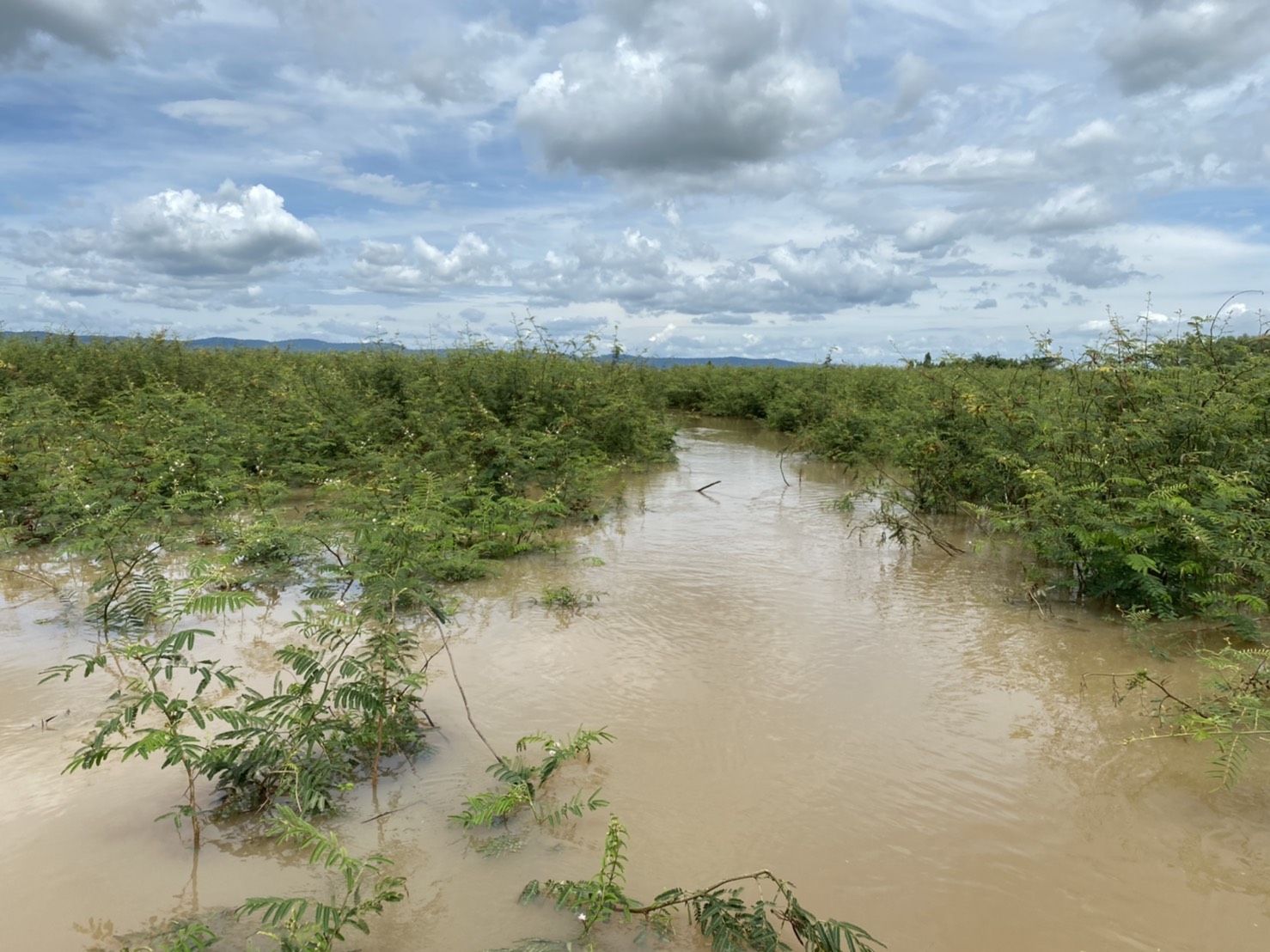 วันที่ 10 สิงหาคม 2563 ชุดเฉพาะกิจควบคุมการทำการประมงอ่างเก็บน้ำเขื่อนอุบลรัตน์ ในช่วงฤดูน้ำแดง ประจำปี 2563..คลิก