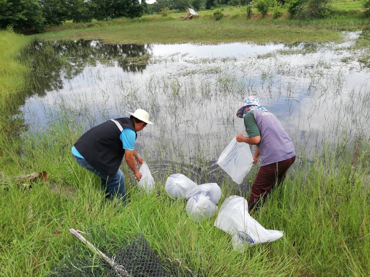วันที่ 11 สิงหาคม 2563 นายวิทยา ประเสริฐสังข์ ประมงอำเภอโนนสัง..คลิก
