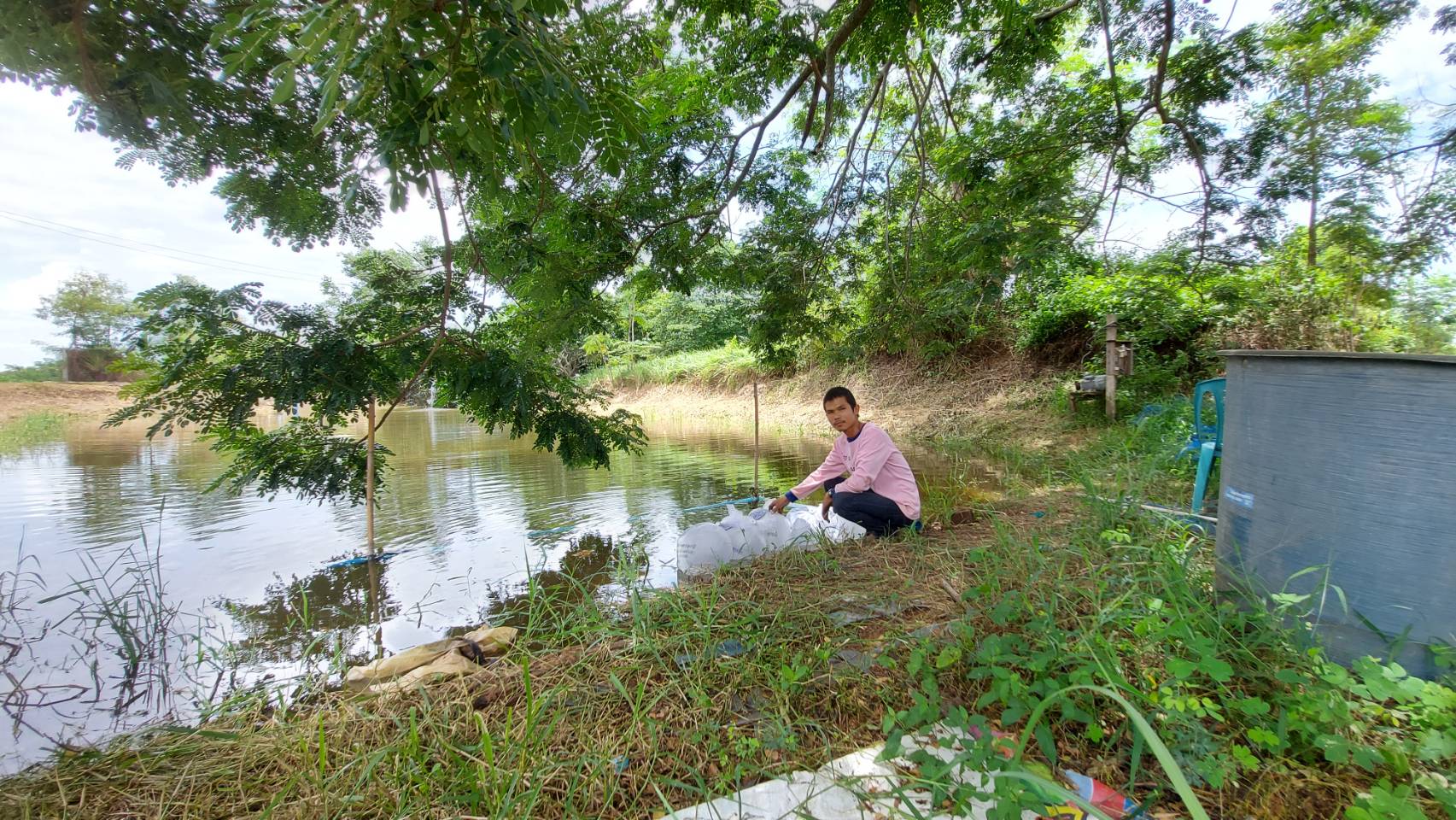 วันที่ 11 สิงหาคม 2563 นางสาวมลฤดี ลิ้มสุวรรณ ประมงอำเภอศรีบุญเรือง..คลิก