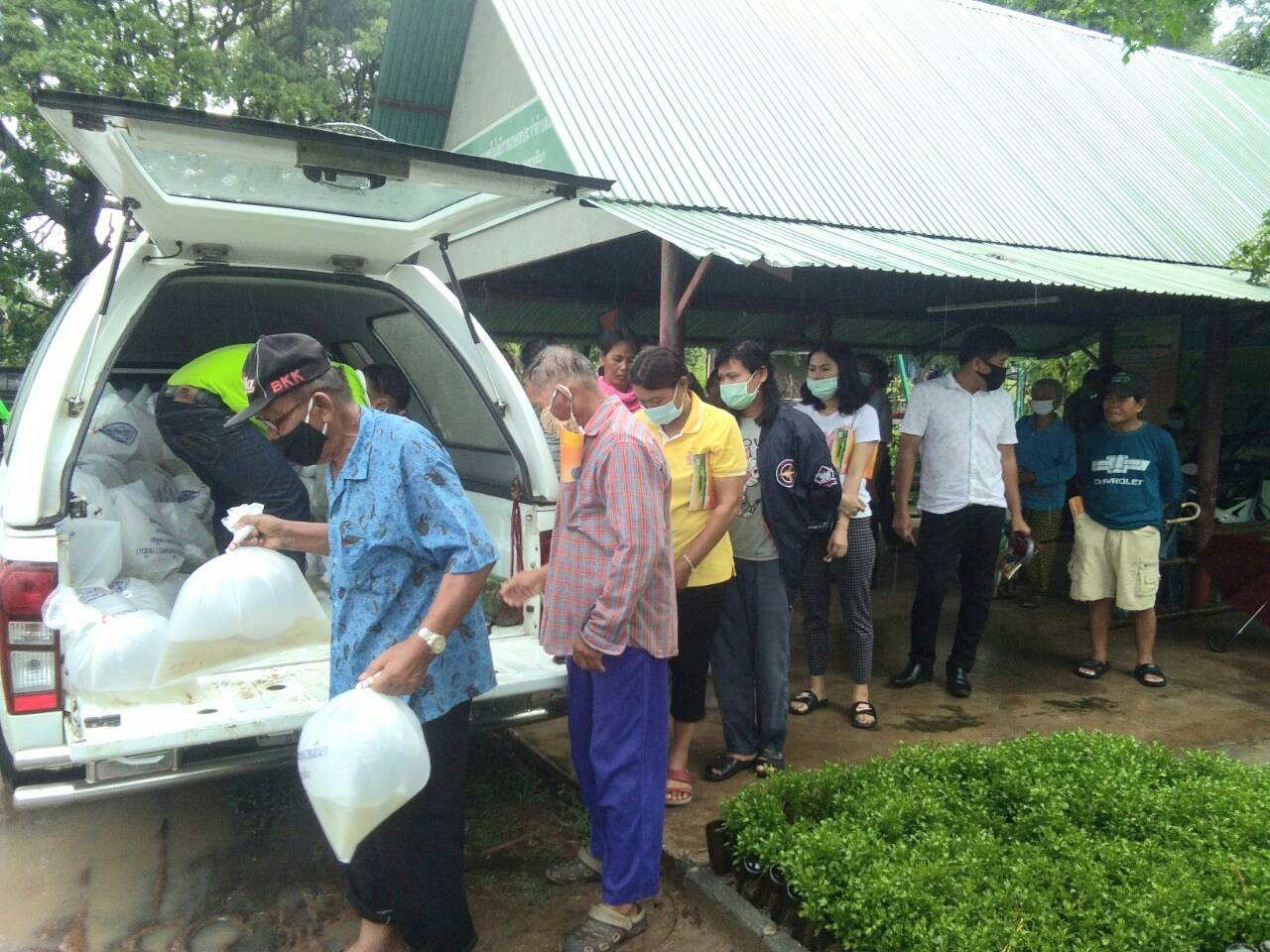 มอบพันธุ์ปลากินพืชให้แก่เกษตรกรที่เข้าร่วมโครงการเกษตรทฤษฎีใหม่ ประจำปี 2563 อำเภอแก้งสนามนาง..คลิก
