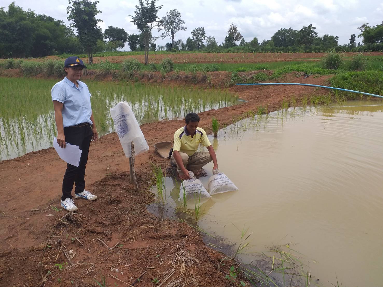 วันที่ 18 สิงหาคม 2563 นางสาวมลฤดี ลิ้มสุวรรณ ประมงอำเภอศรีบุญเรือง พร้อมด้วย นางสาวสายสมร พลบูรณ์ นักวิชาการประมง..คลิก