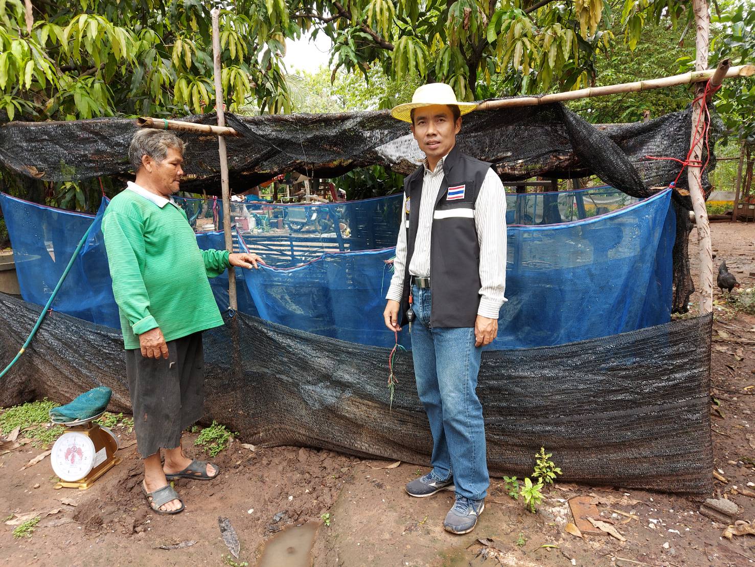 วันที่ 21 สิงหาคม 2563 ประมงอำเภอโนนสัง ออกตรวจติดตามและสุ่มตรวจผลผลิตจากการเลี้ยงและสำรวจรายได้จากการประมงของเกษตรกรที่เข้าร่วมโครงการส่งเสริมและพัฒนาอาชีพเพื่อแก้ไขปัญหาที่ดินทำกินของเกษตรกร (คทช)  จังหวัดหนองบัวลำภู..คลิก