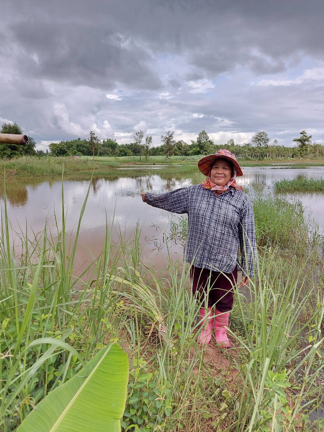 วันที่ 22 สิงหาคม 2563 ประมงอำเภอเมืองหนองบัวลำภู ออกปฏิบัติงานเพื่อสำรวจและตรวจสอบความเสียหายของเกษตรกรที่น้ำท่วมบ่อปลาจากพายุซินลากู  อำเภอเมืองหนองบัวลำภู จังหวัดหนองบัวลำภู